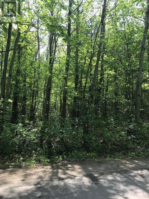 0 Graham Lake Road Property Photo 3