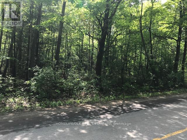 0 Graham Lake Road Property Photo 4