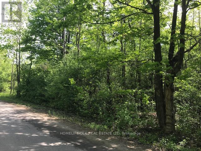 0 Graham Lake Road Property Photo 6