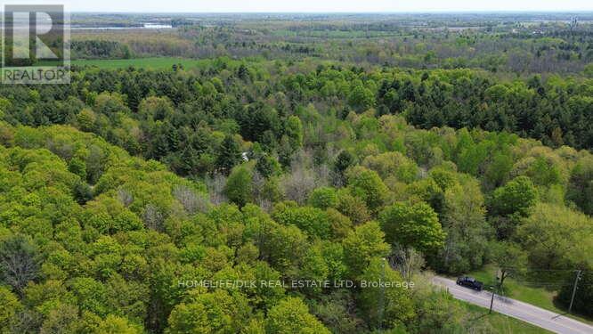 0 Graham Lake Road Property Photo 8
