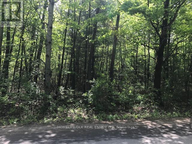 001 GRAHAM LAKE ROAD Property Photo 1