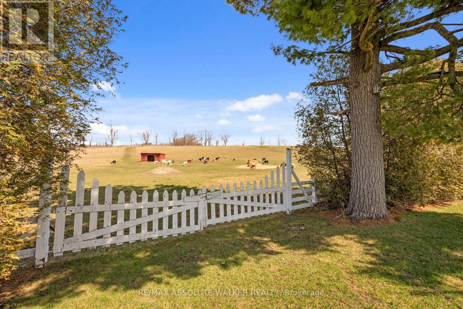 19152 County 25 Road Property Photo 40