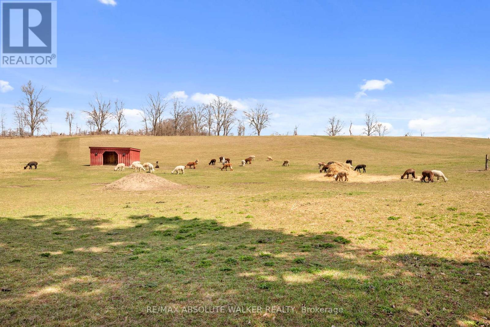 19152 County 25 Road Property Photo 41