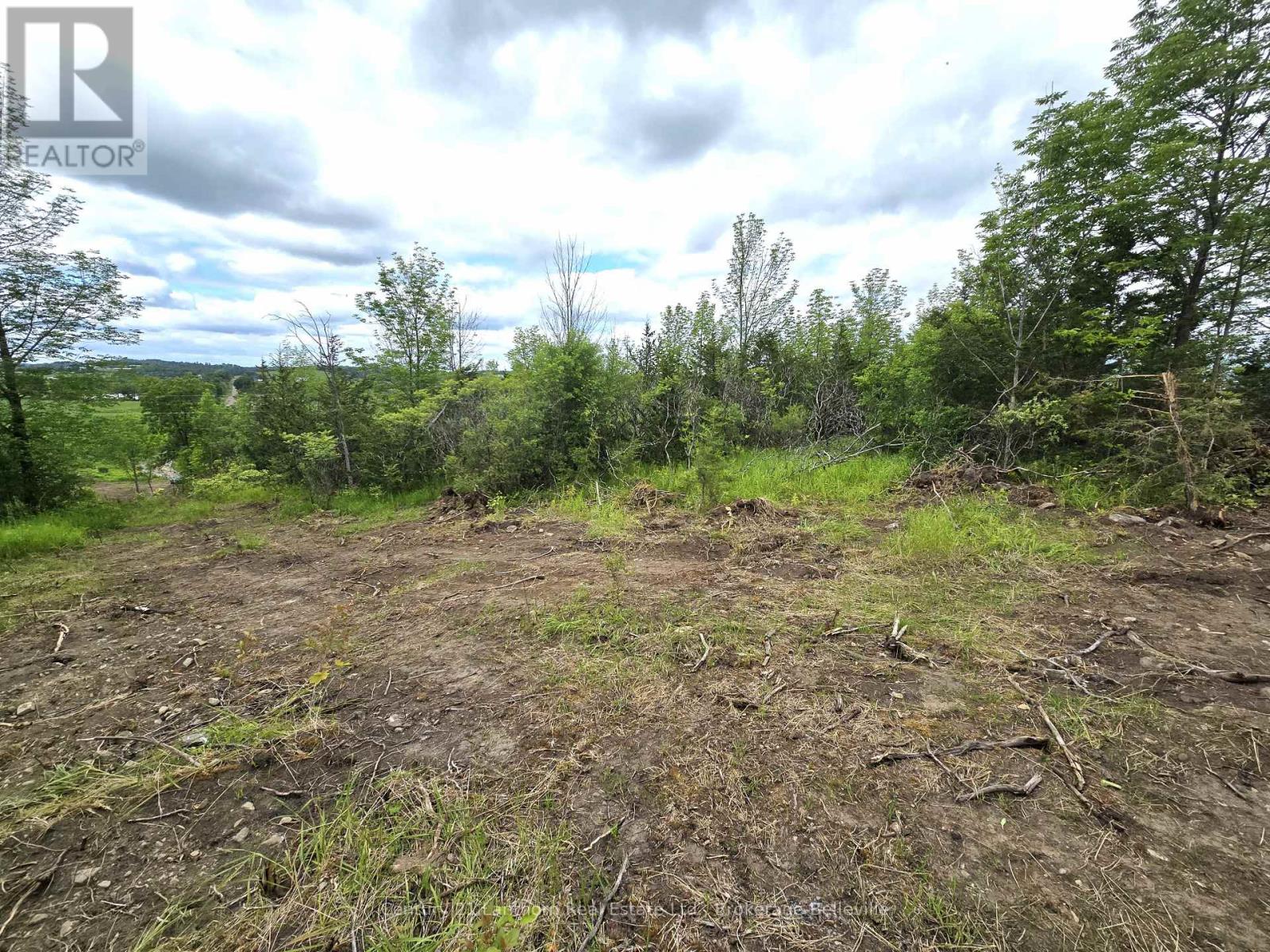 0 Devils Valley Road Property Photo 11