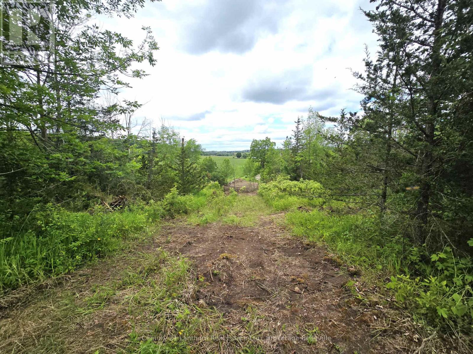 0 Devils Valley Road Property Photo 12