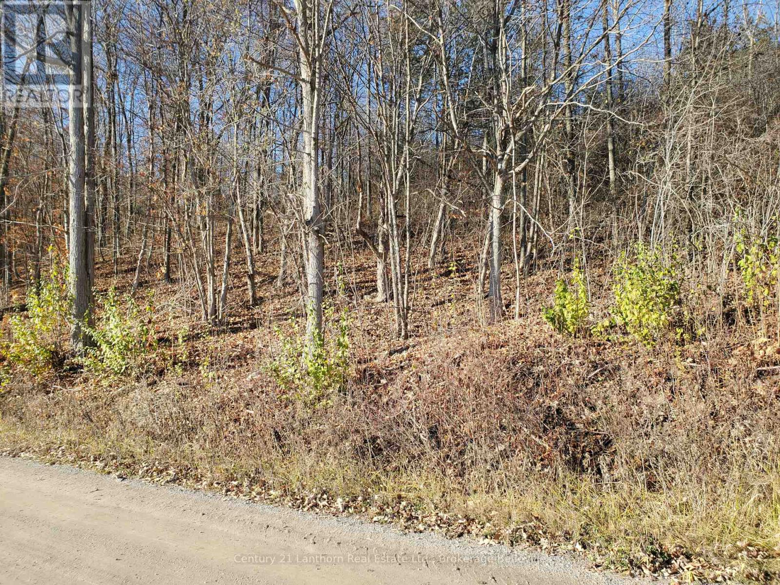 0 Devils Valley Road Property Photo 29