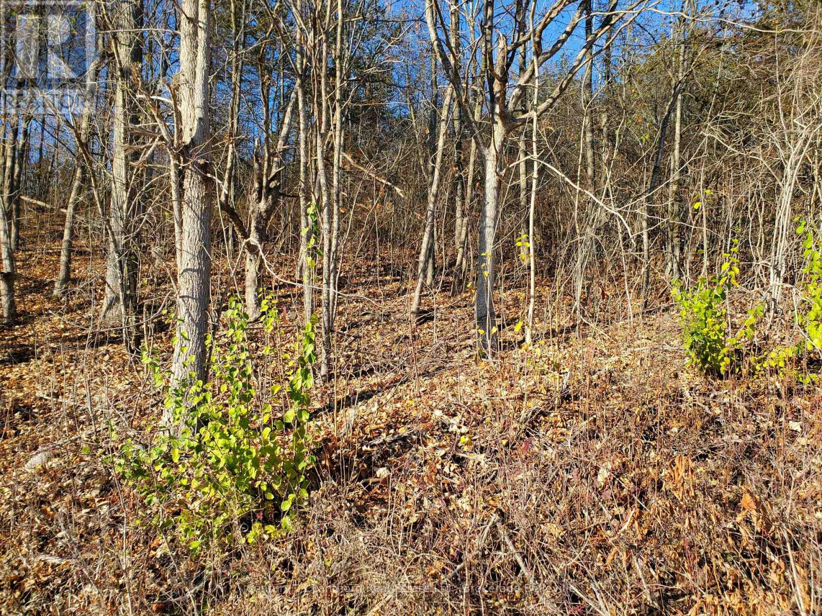 0 Devils Valley Road Property Photo 30