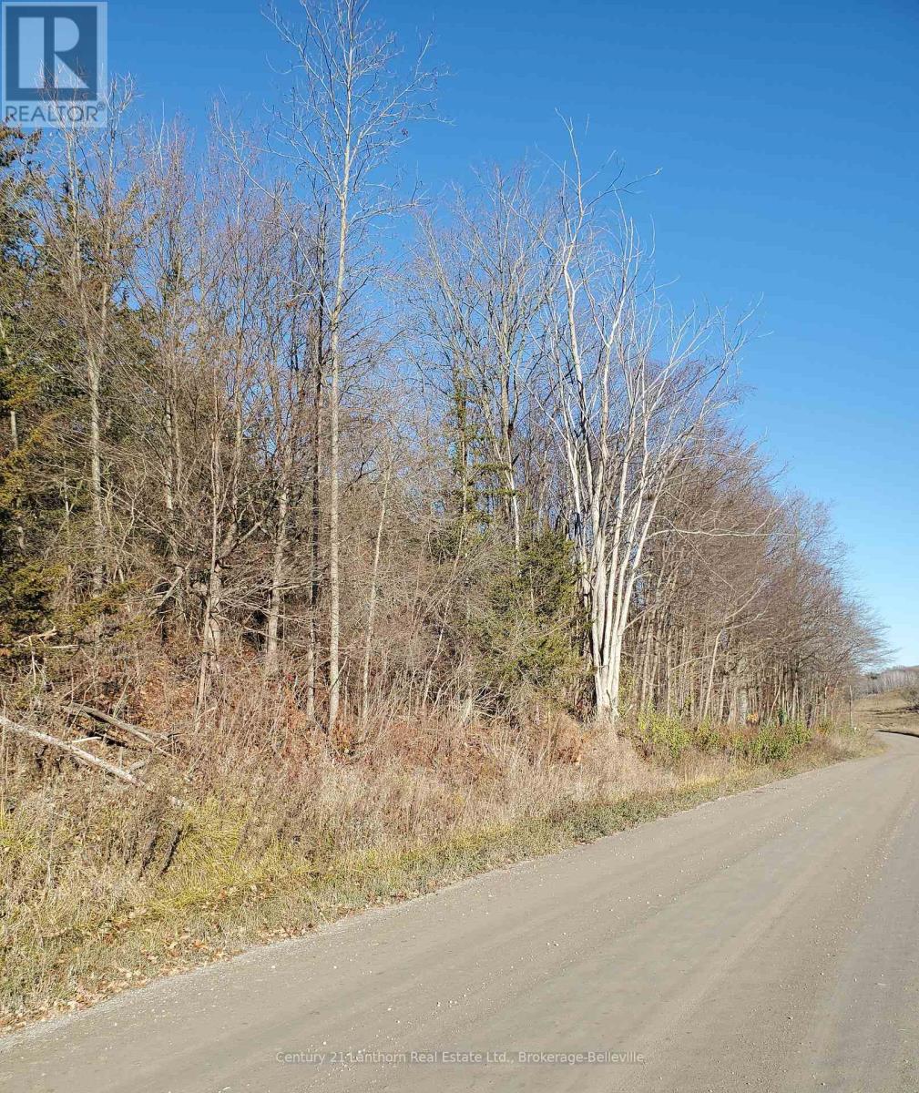 0 Devils Valley Road Property Photo 31