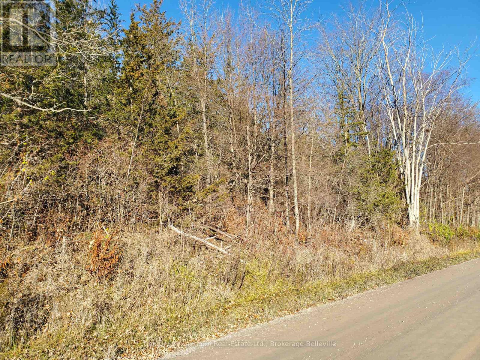 0 Devils Valley Road Property Photo 32
