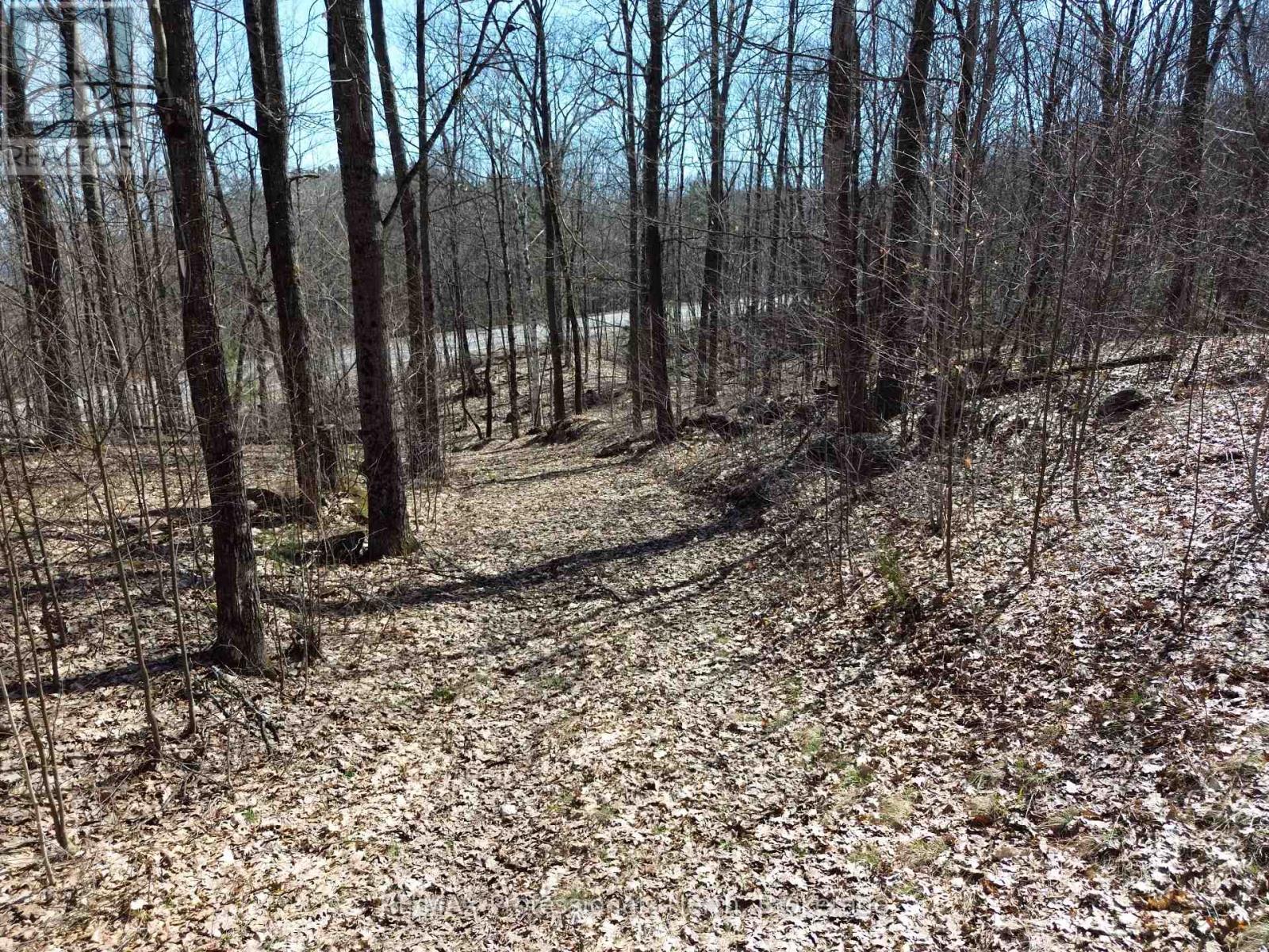 1023 Little Hawk Lake Road Property Photo 1