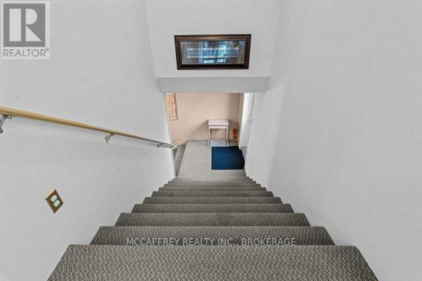 4 Neely Street Property Photo 21
