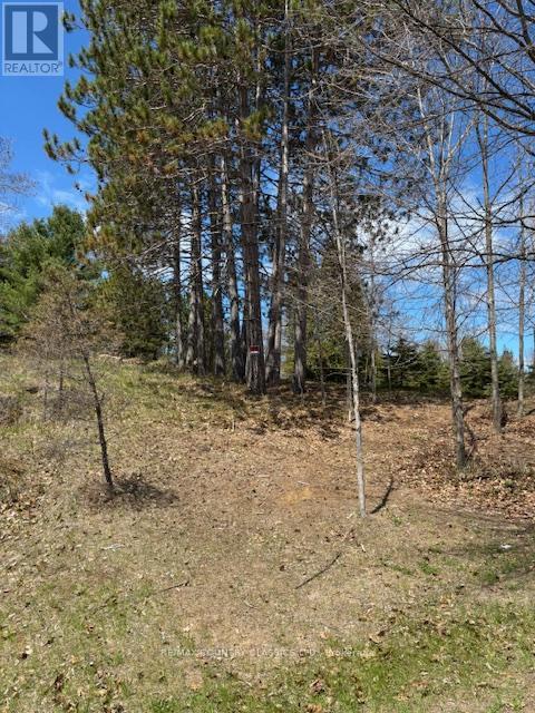 26686 HIGHWAY 62 S Property Photo 1