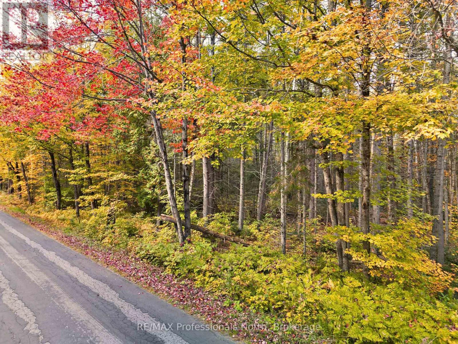 276 Fern Glen Road Property Photo 4