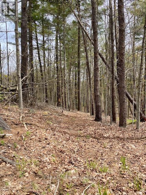 10914 County Road 38 Road Property Photo 1