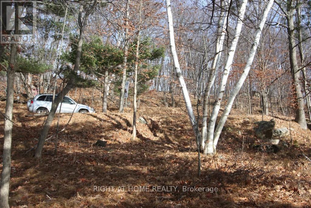 00 Hopper Lane Property Photo 2
