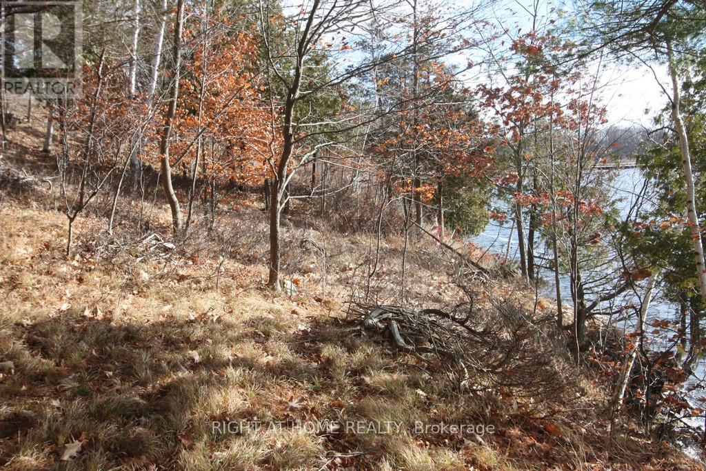 00 Hopper Lane Property Photo 3