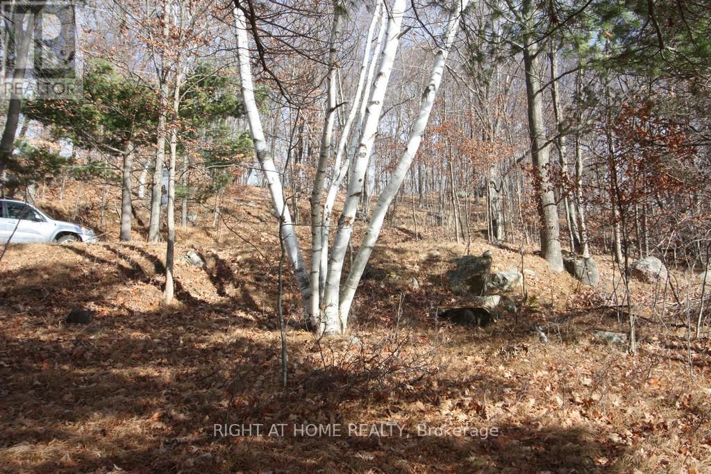 00 Hopper Lane Property Photo 6