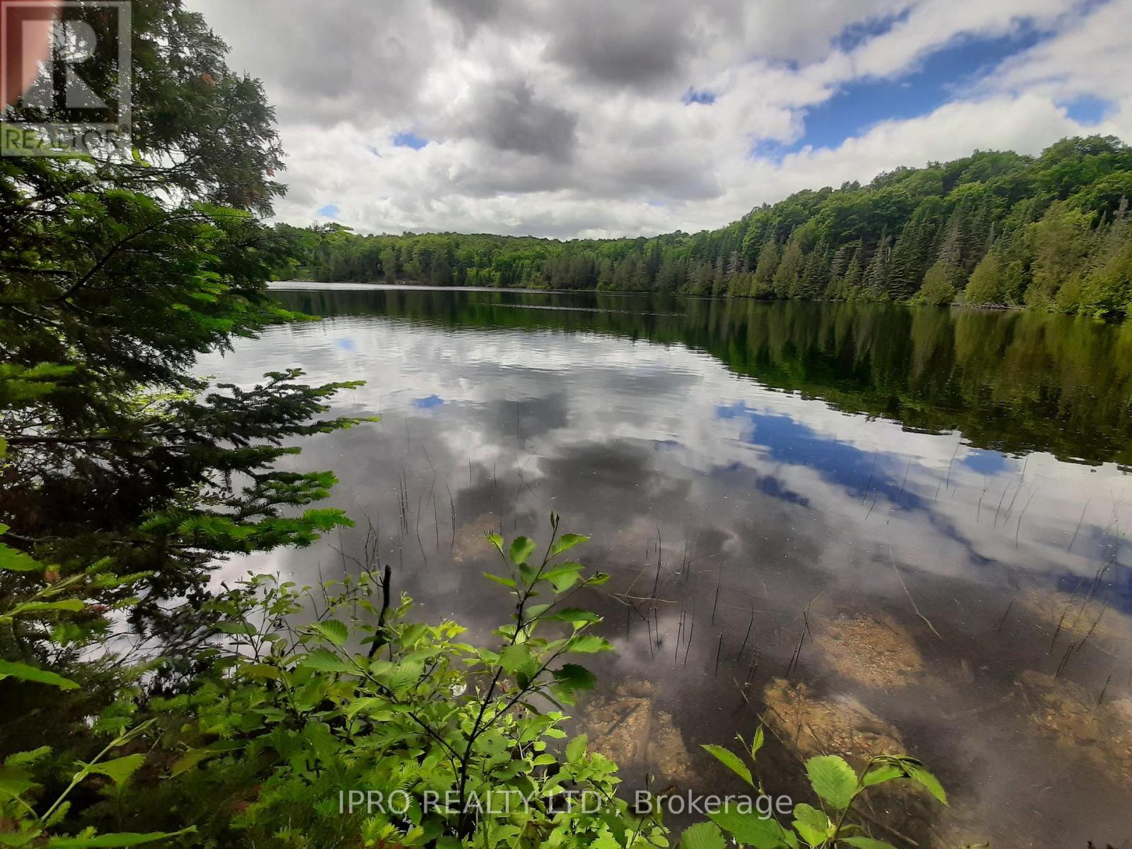 6447 Opeongo Road Property Photo 1