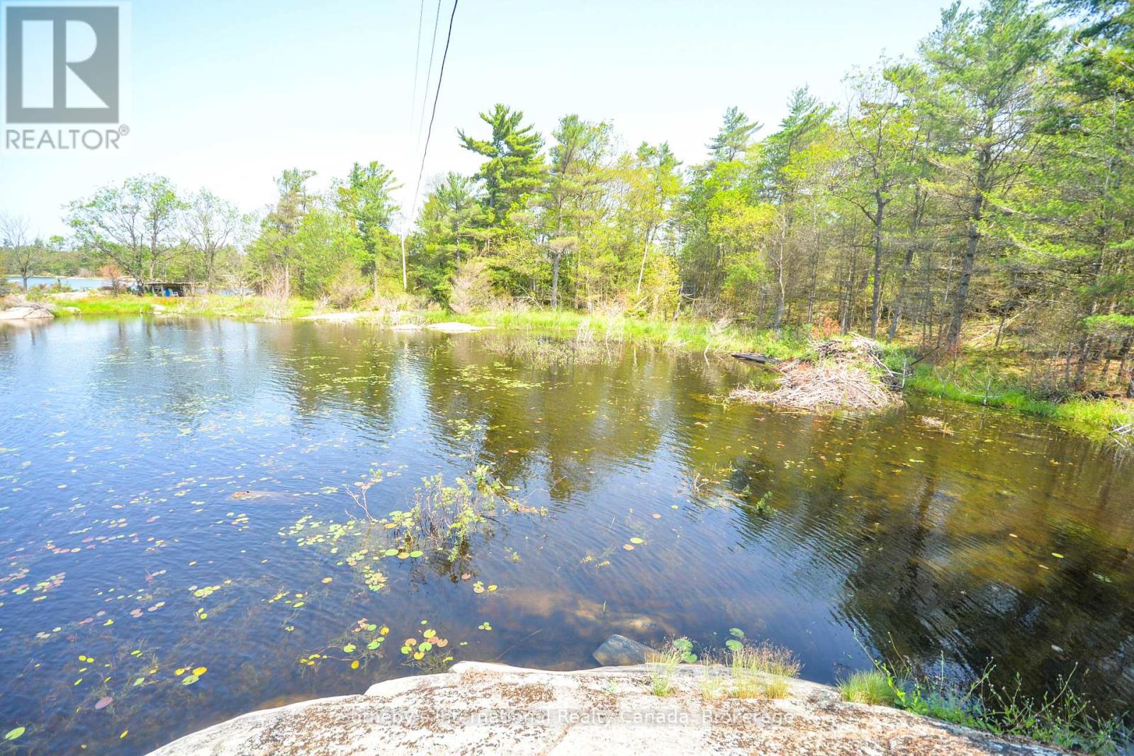 4648 Is 2190 Georgian Bay Property Photo 5