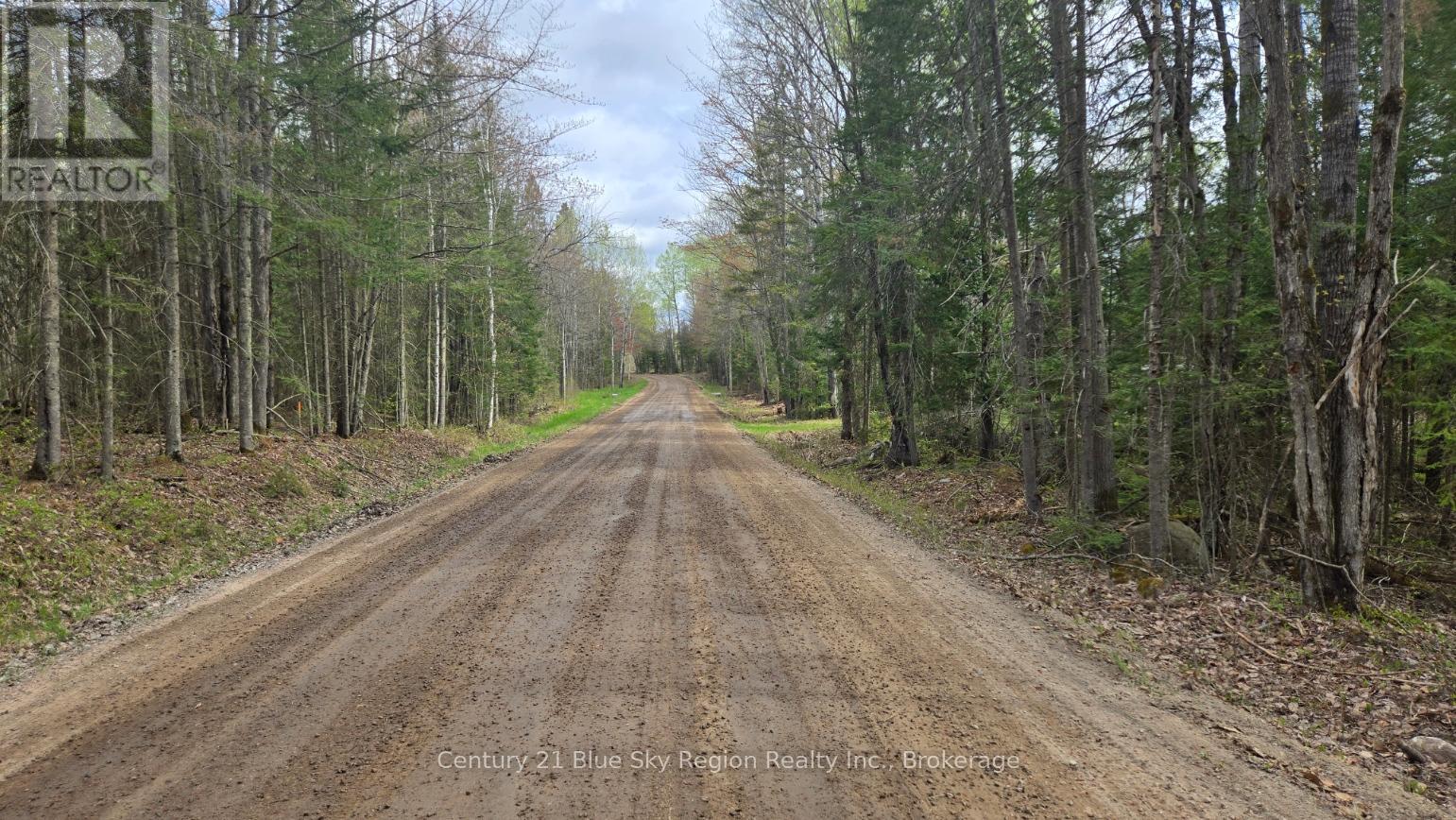 2438 VILLAGE ROAD Property Photo 1