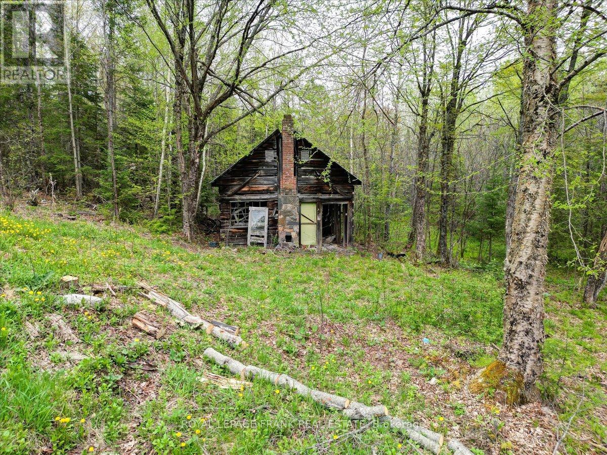 1019 Anderson Road Property Photo 35