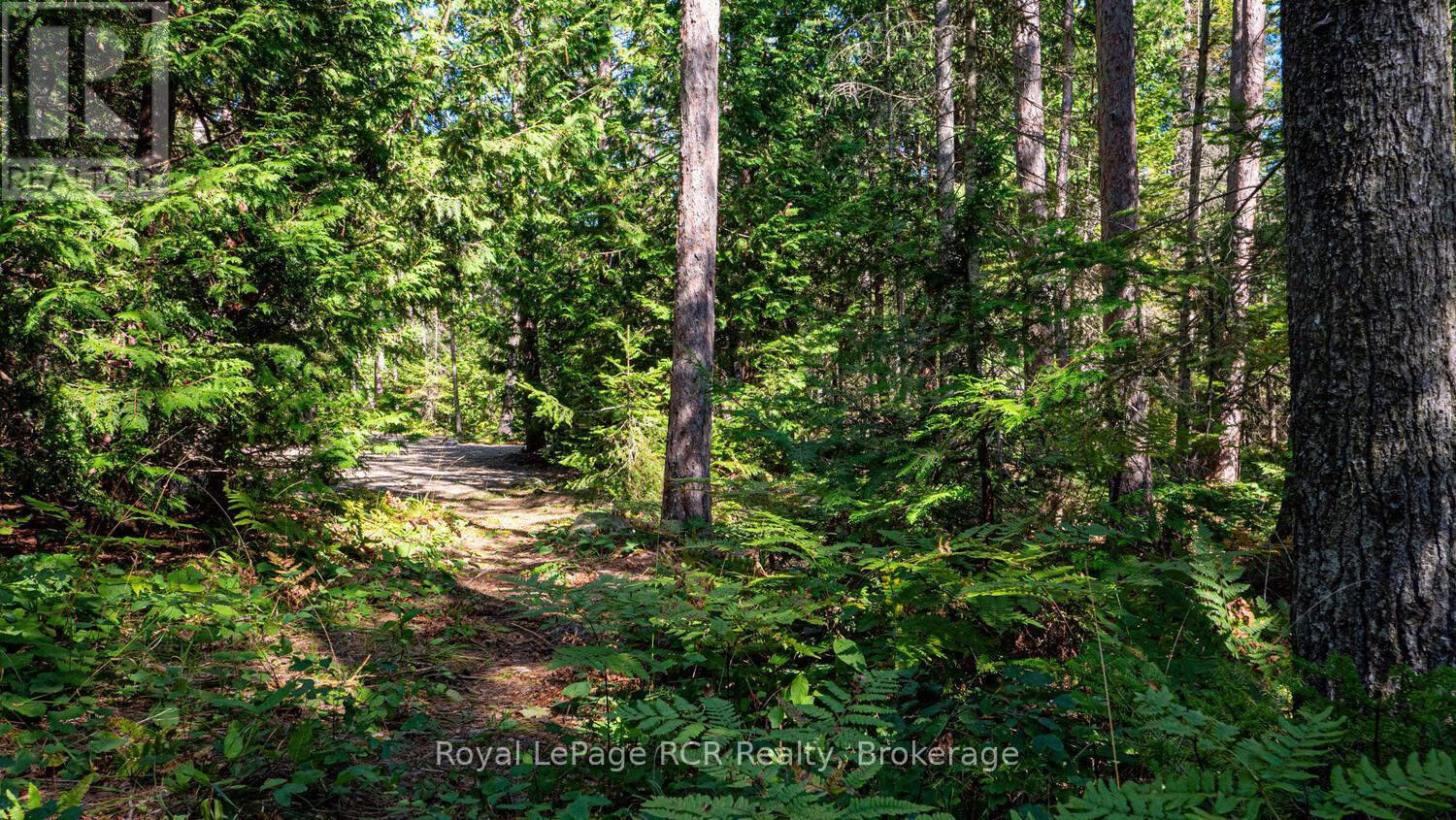 6313 Highway 6 Property Photo 47