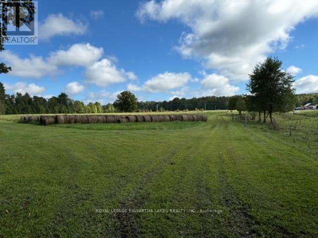 2433 County Road 121 Road Property Photo 32