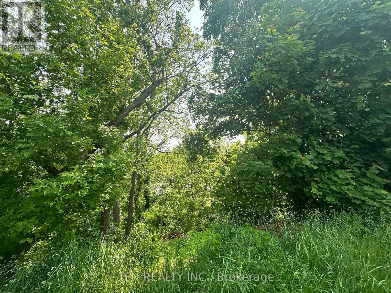 489 Caithness Street E Property Photo 4