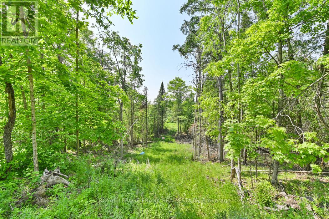 4 Wolf Lake Road Property Photo 19