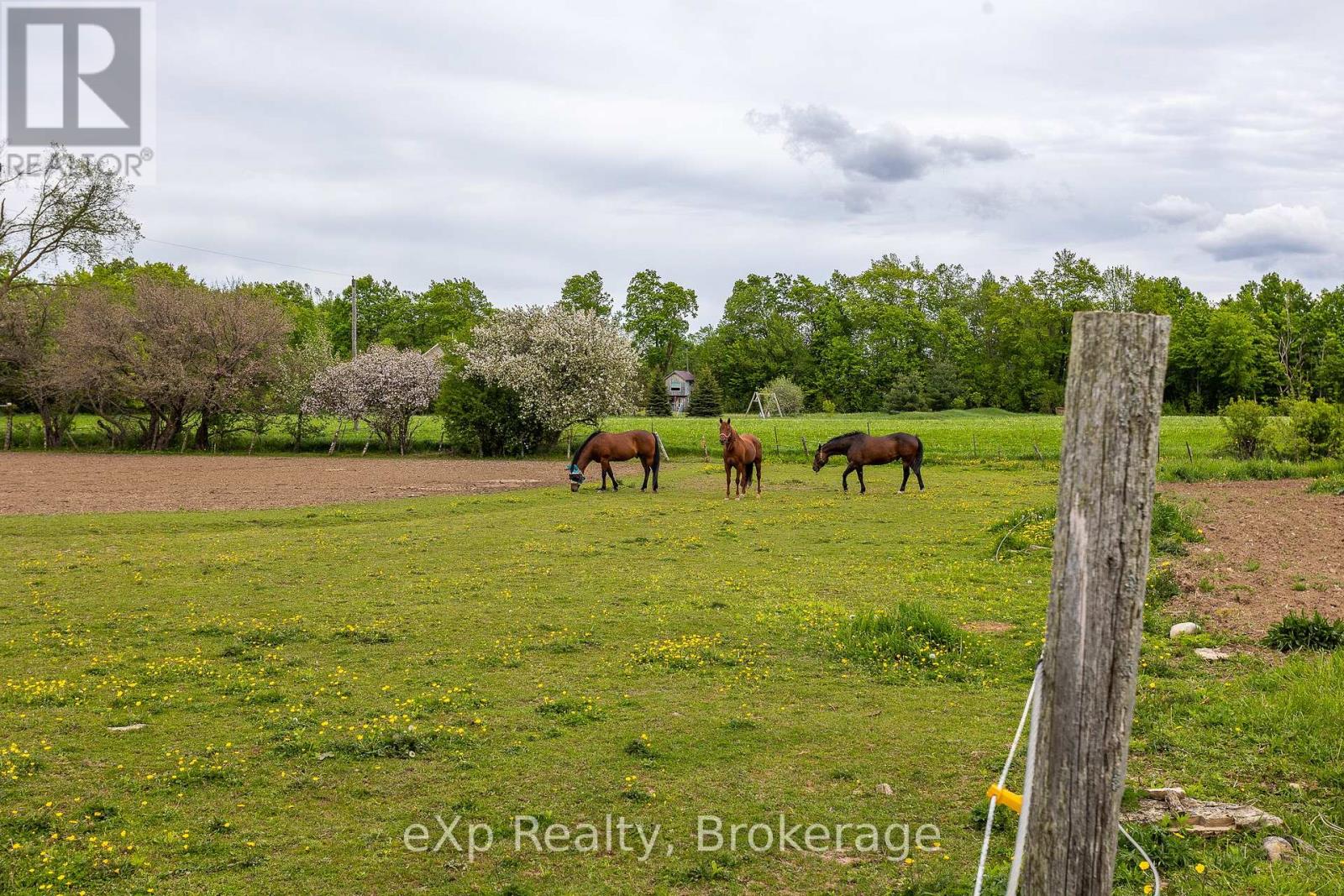 46304 Old Mail Road Property Photo 29