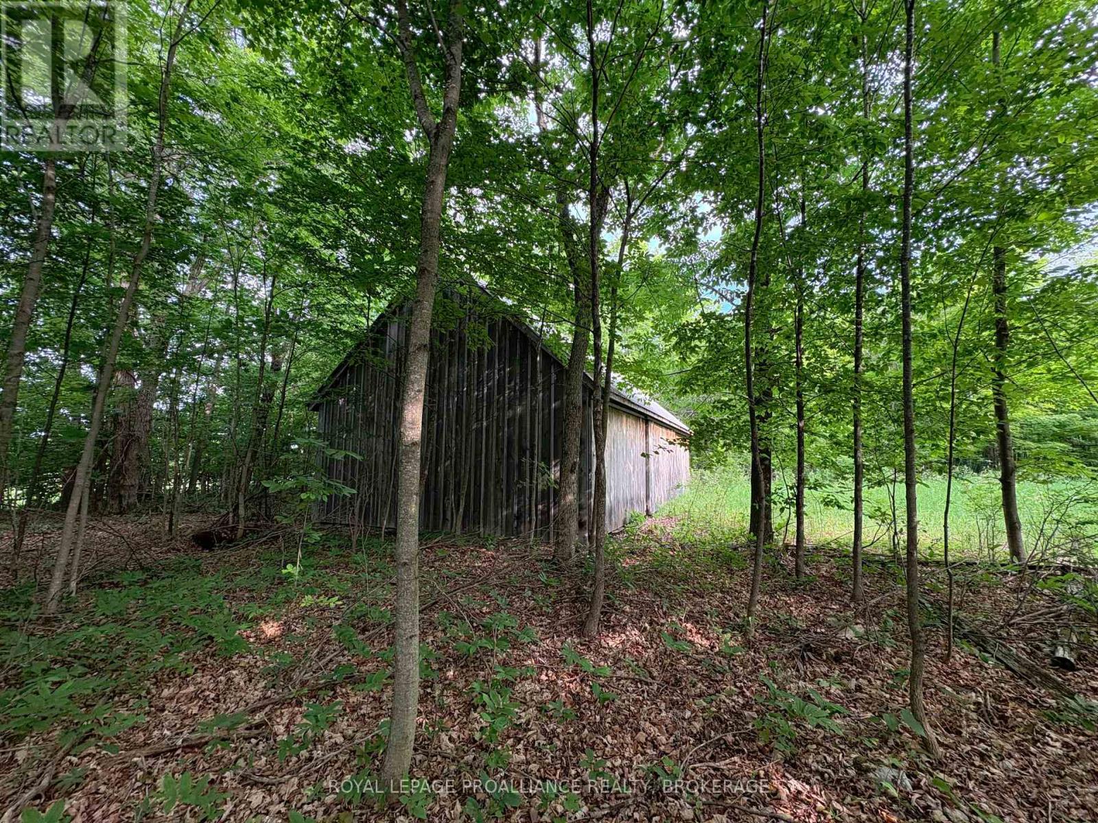 LOT 3 JAMIESON ROAD Property Photo 1