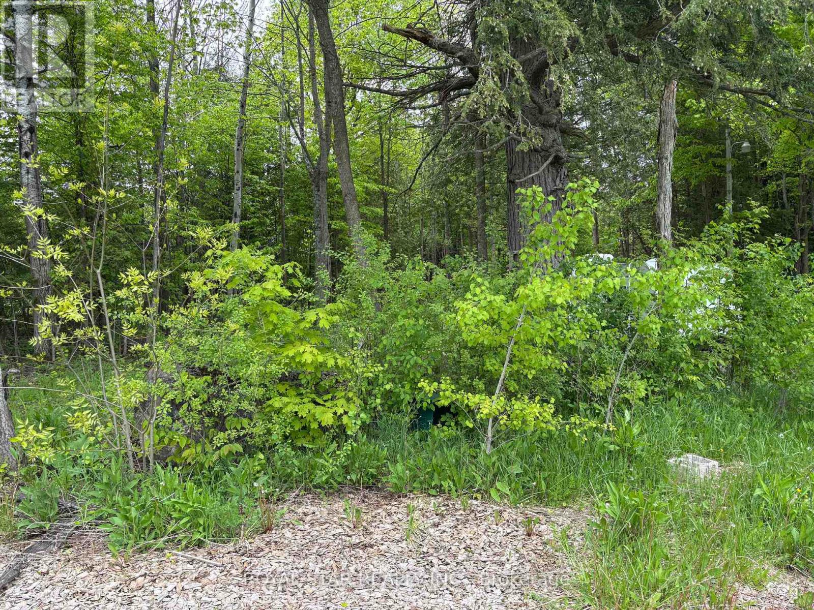 104264 Grey Road 18 Property Photo 3
