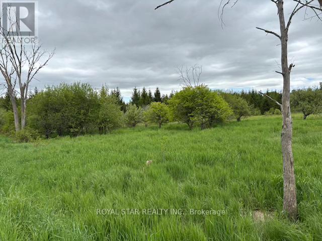 104264 Grey Road 18 Property Photo 10