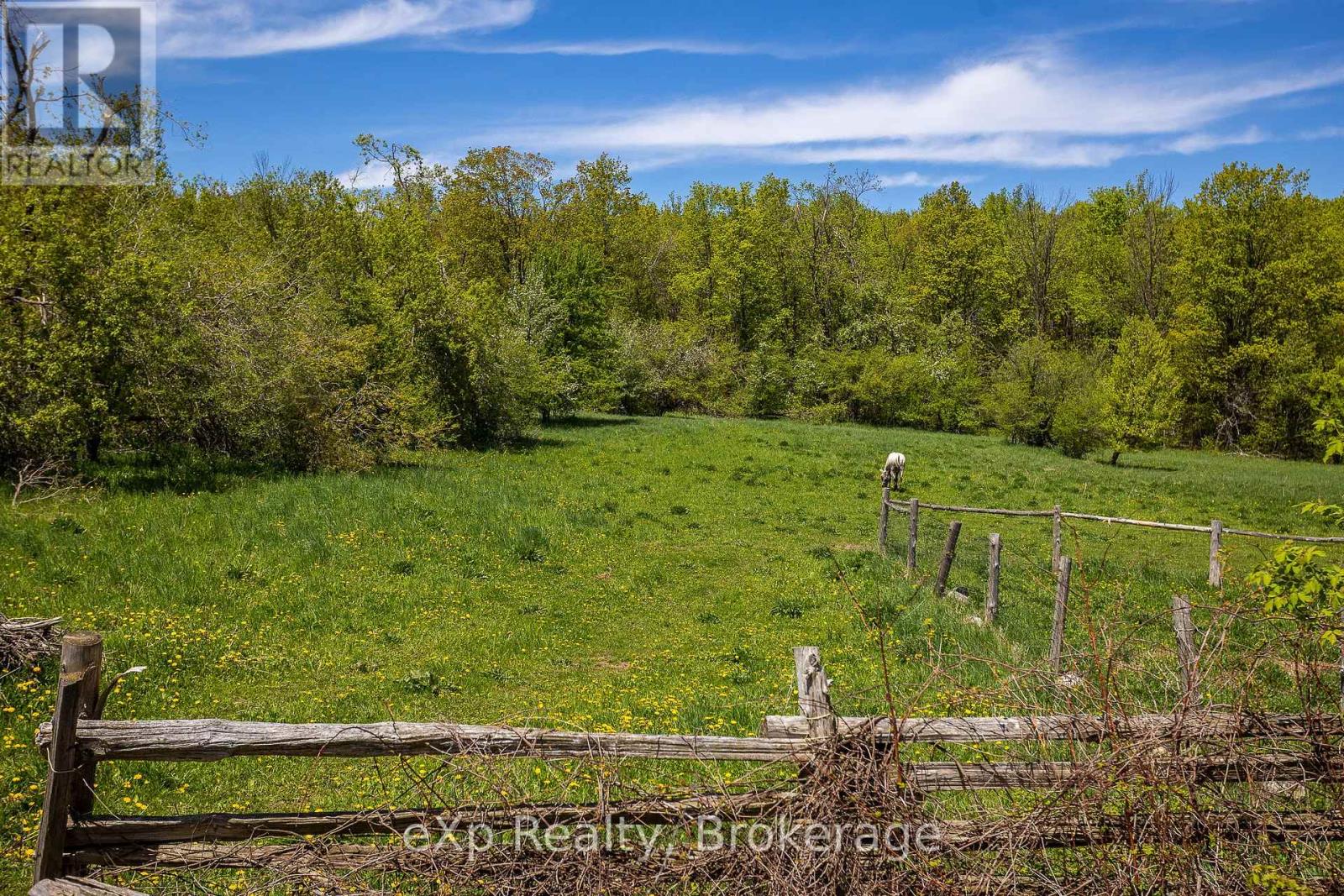 58111 12th Line Property Photo 39