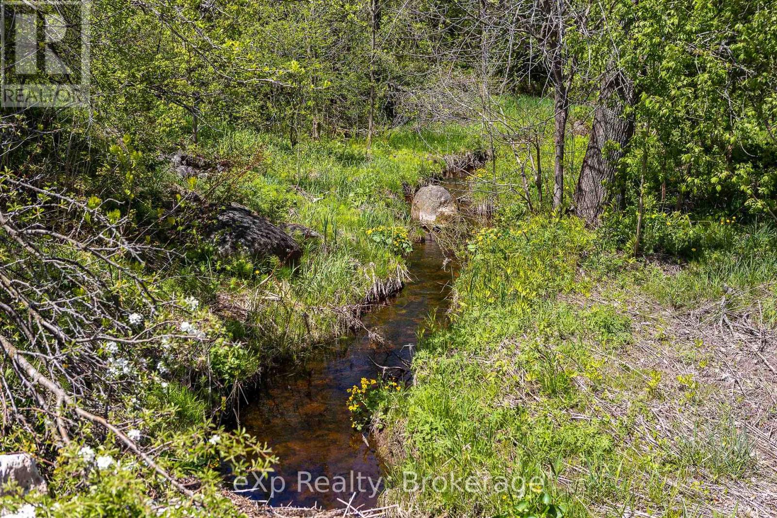 58111 12th Line Property Photo 40