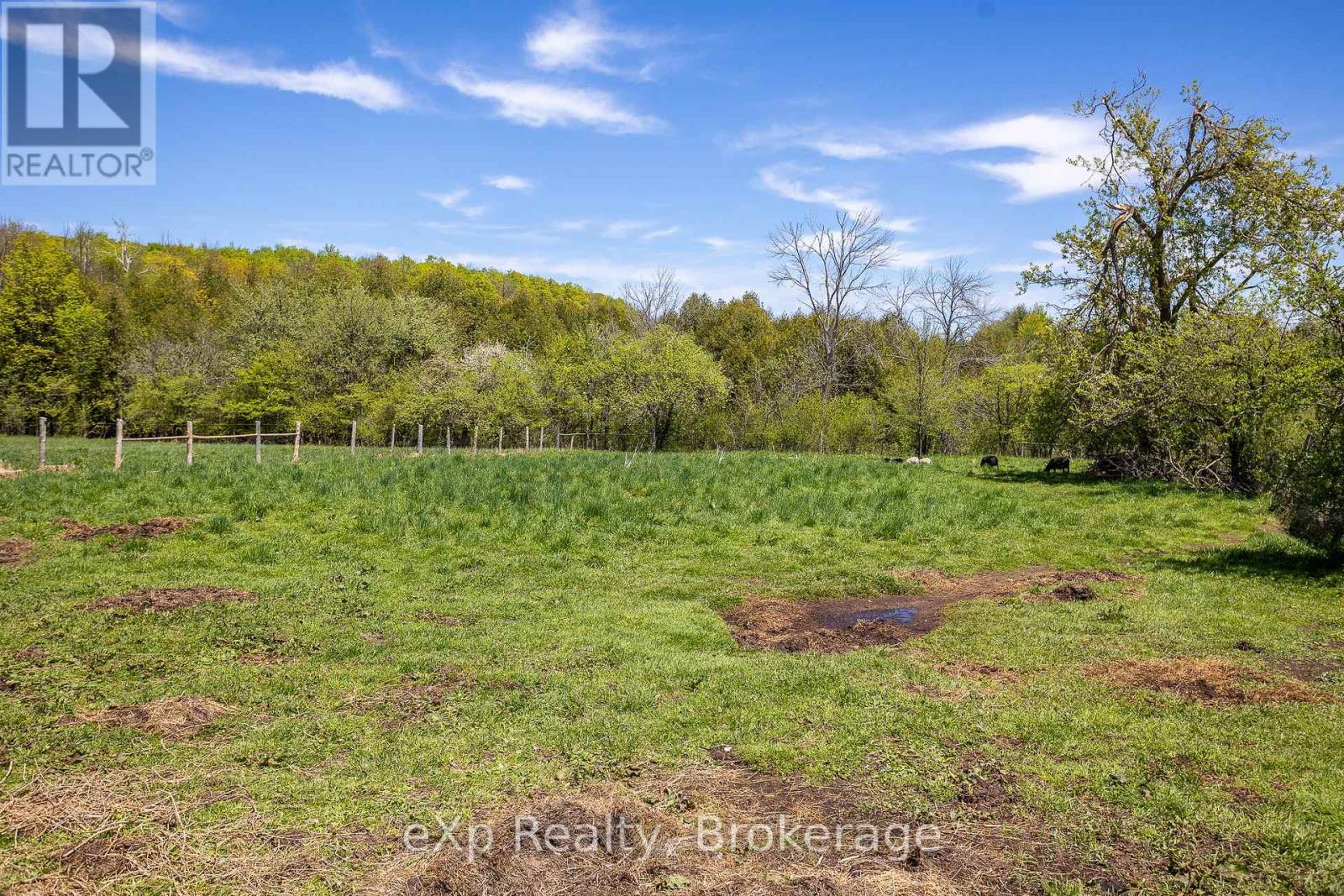 58111 12th Line Property Photo 44