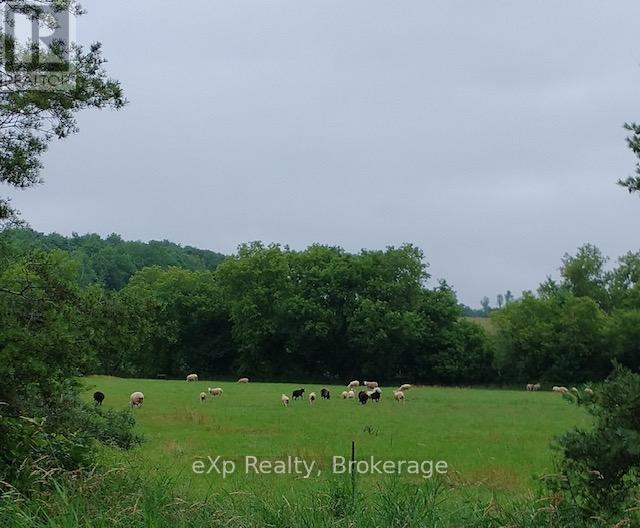58111 12th Line Property Photo 45