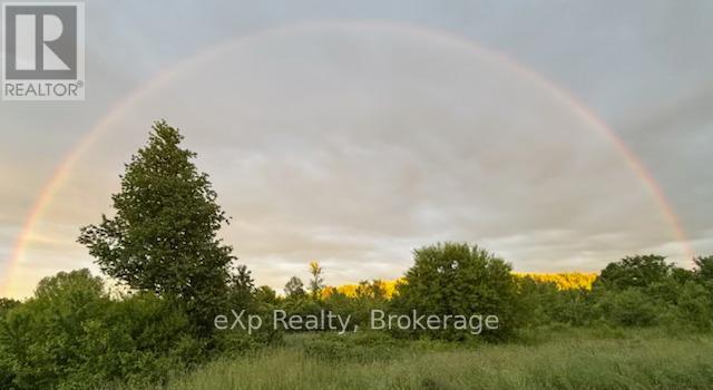 58111 12th Line Property Photo 47