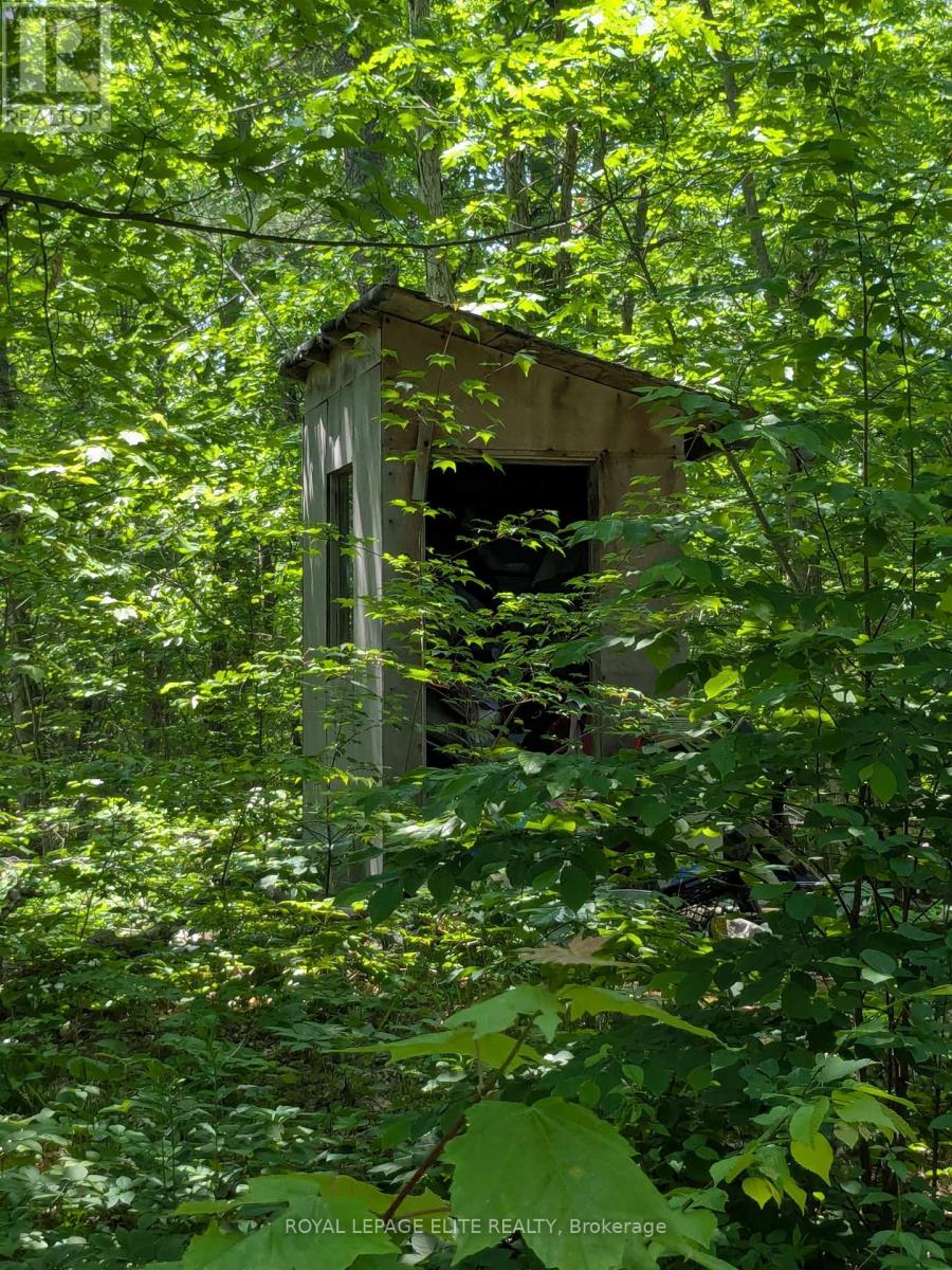 559 Honey Harbour Road Property Photo 3