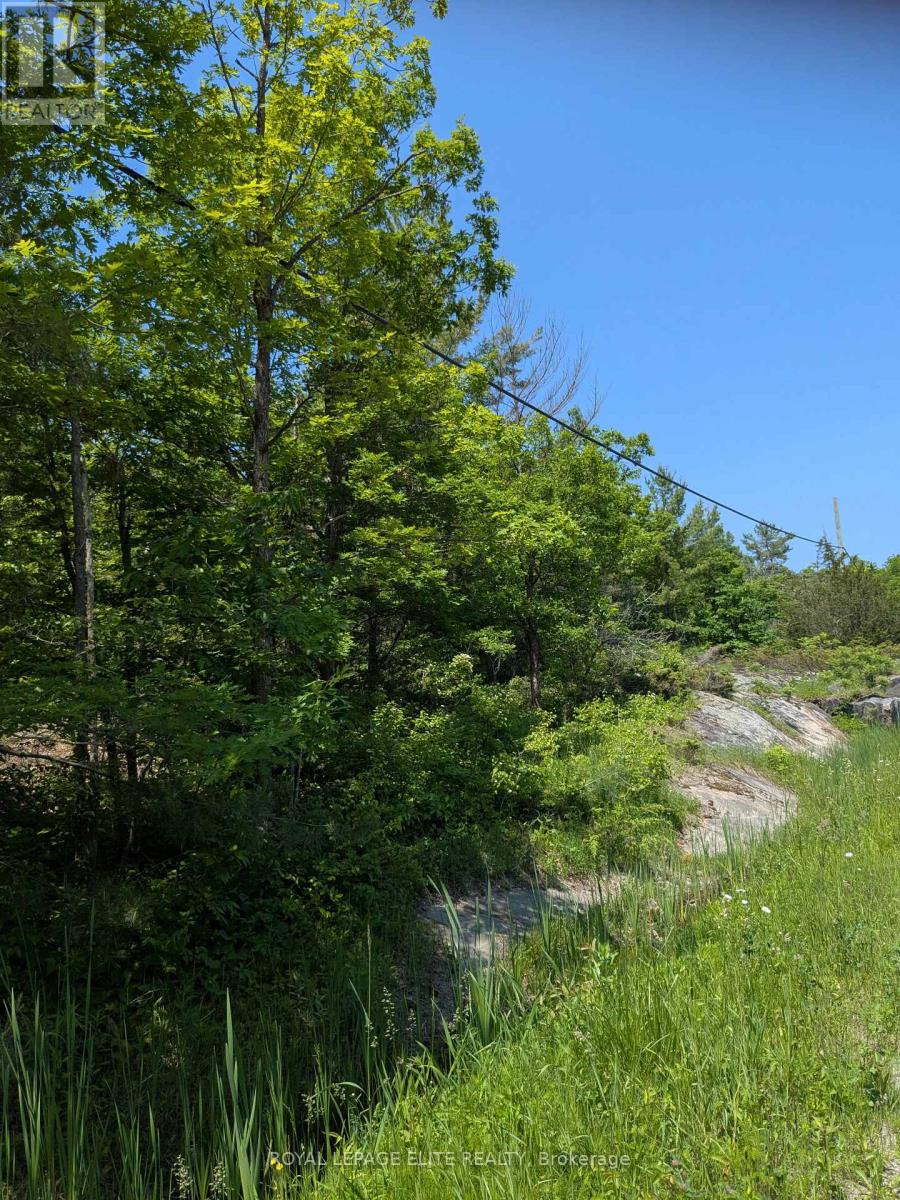 559 Honey Harbour Road Property Photo 6