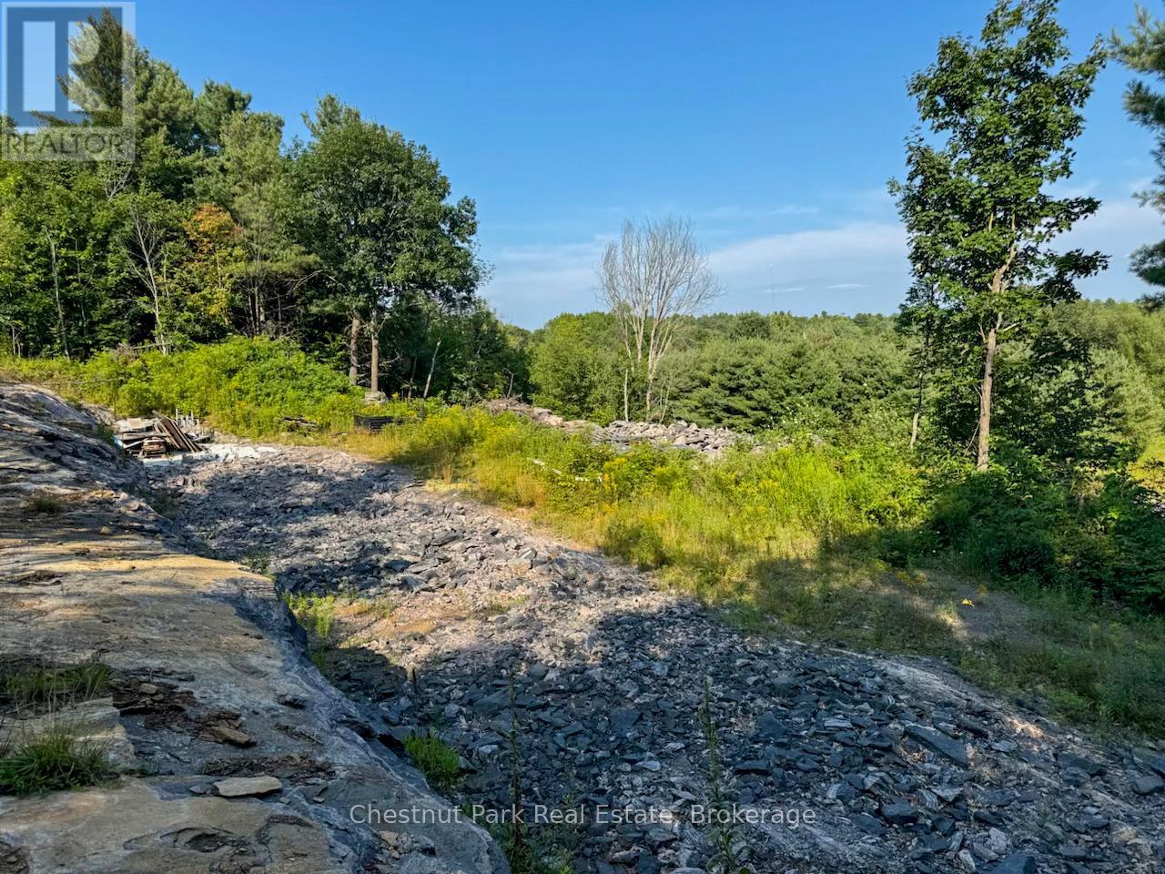 1681 Muskoka Beach Road Property Photo 1
