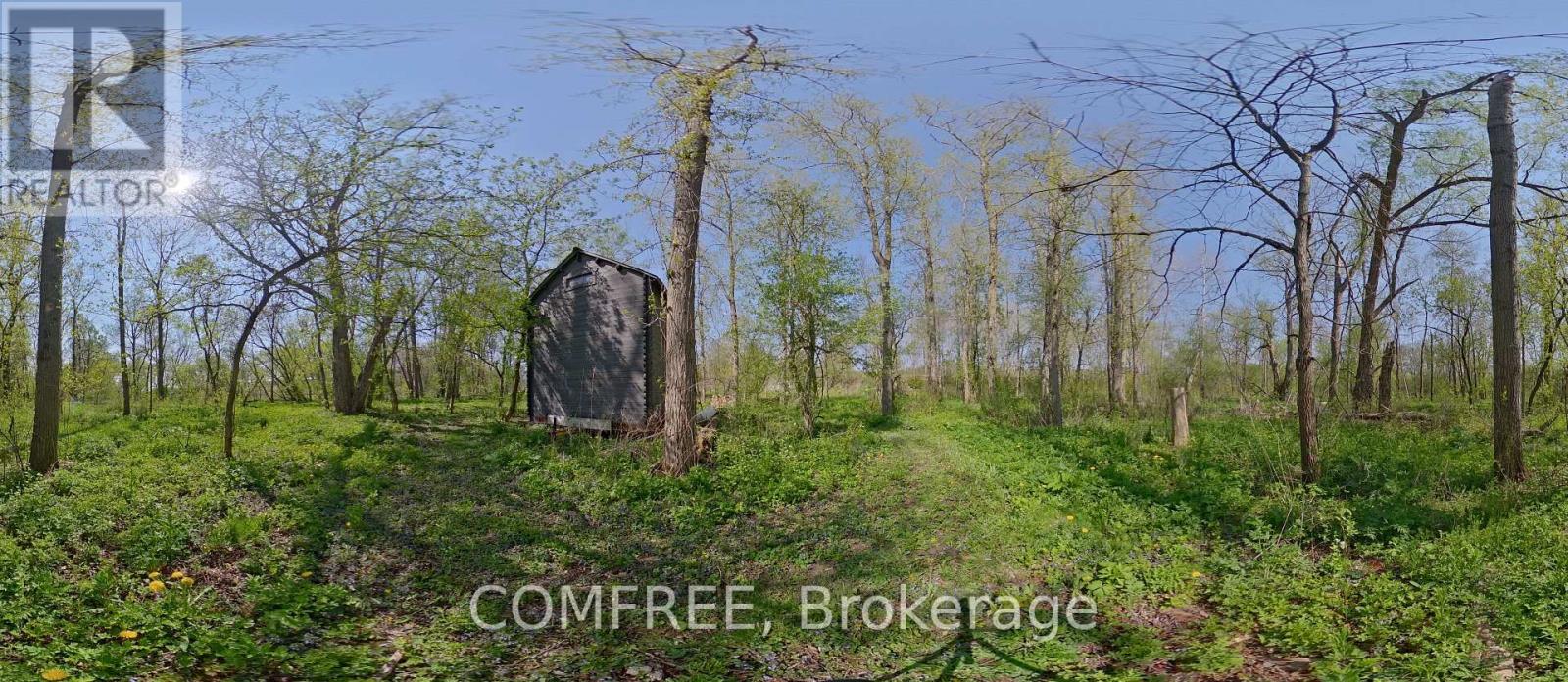 375500 37th Line Property Photo 22