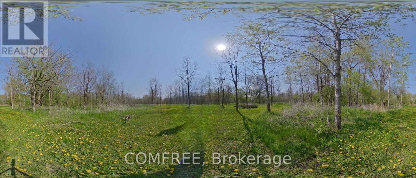 375500 37th Line Property Photo 24