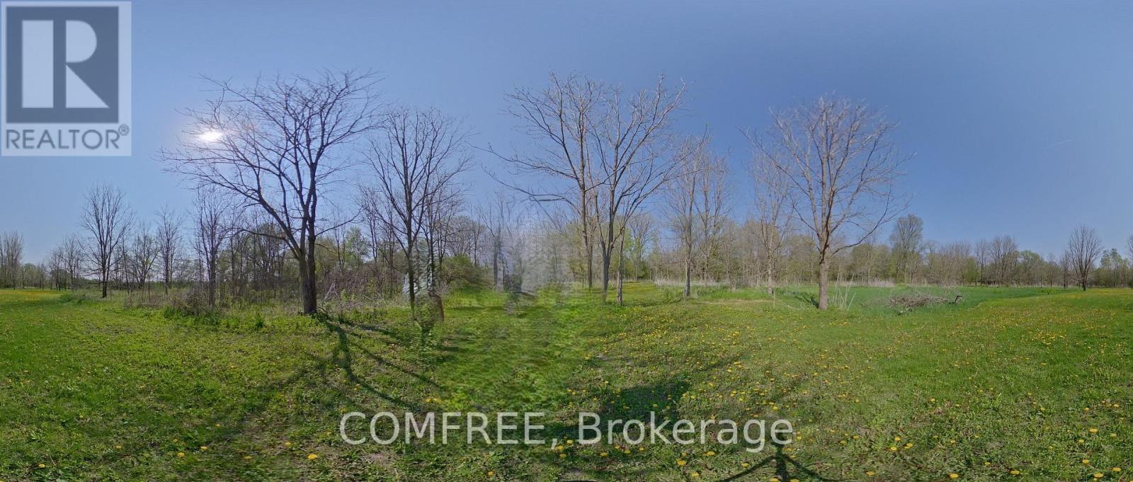 375500 37th Line Property Photo 25