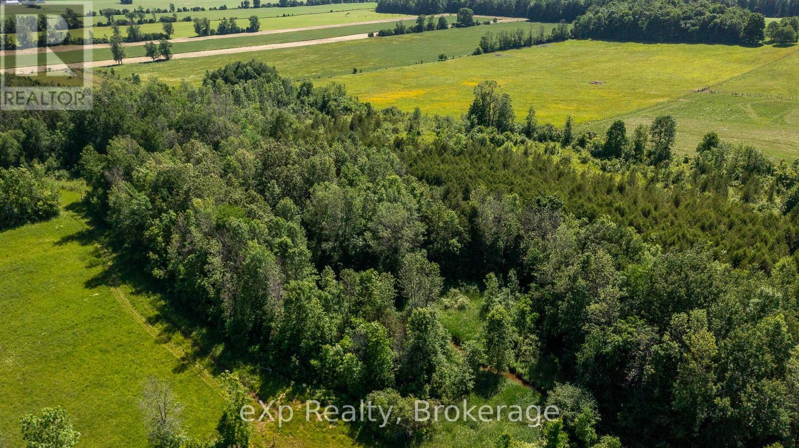 701768 5 Side Road Property Photo 42