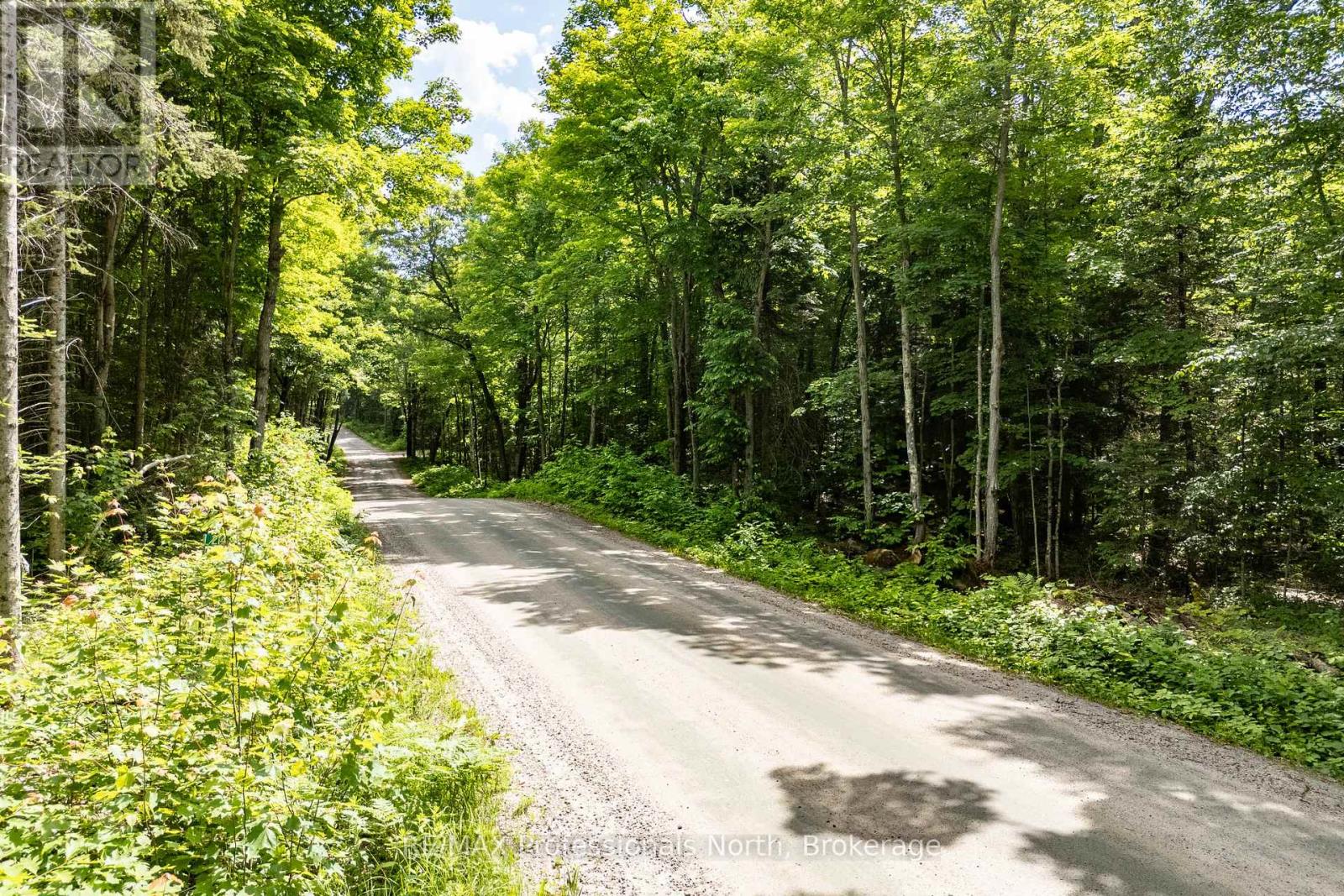 0 SOUTH HORN LAKE ROAD Property Photo 1