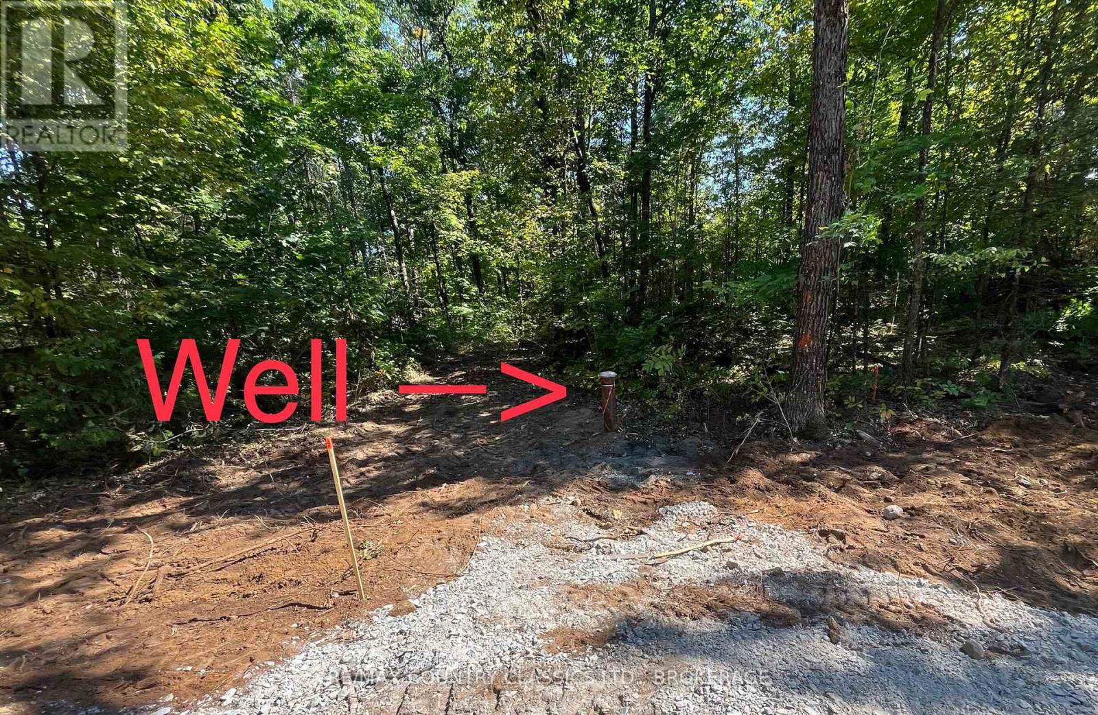 35 Maple View Court Property Photo 4