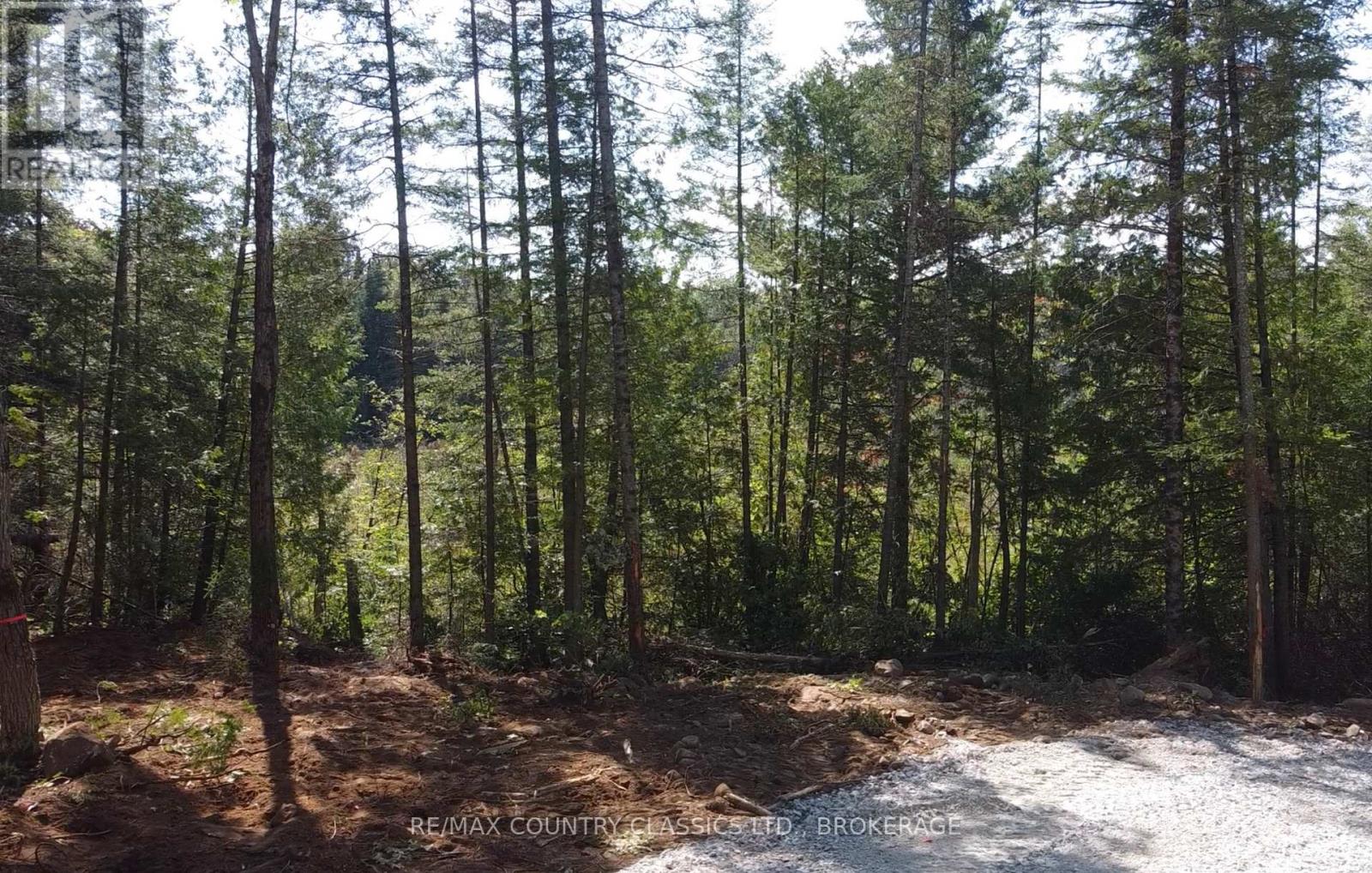 35 Maple View Court Property Photo 6