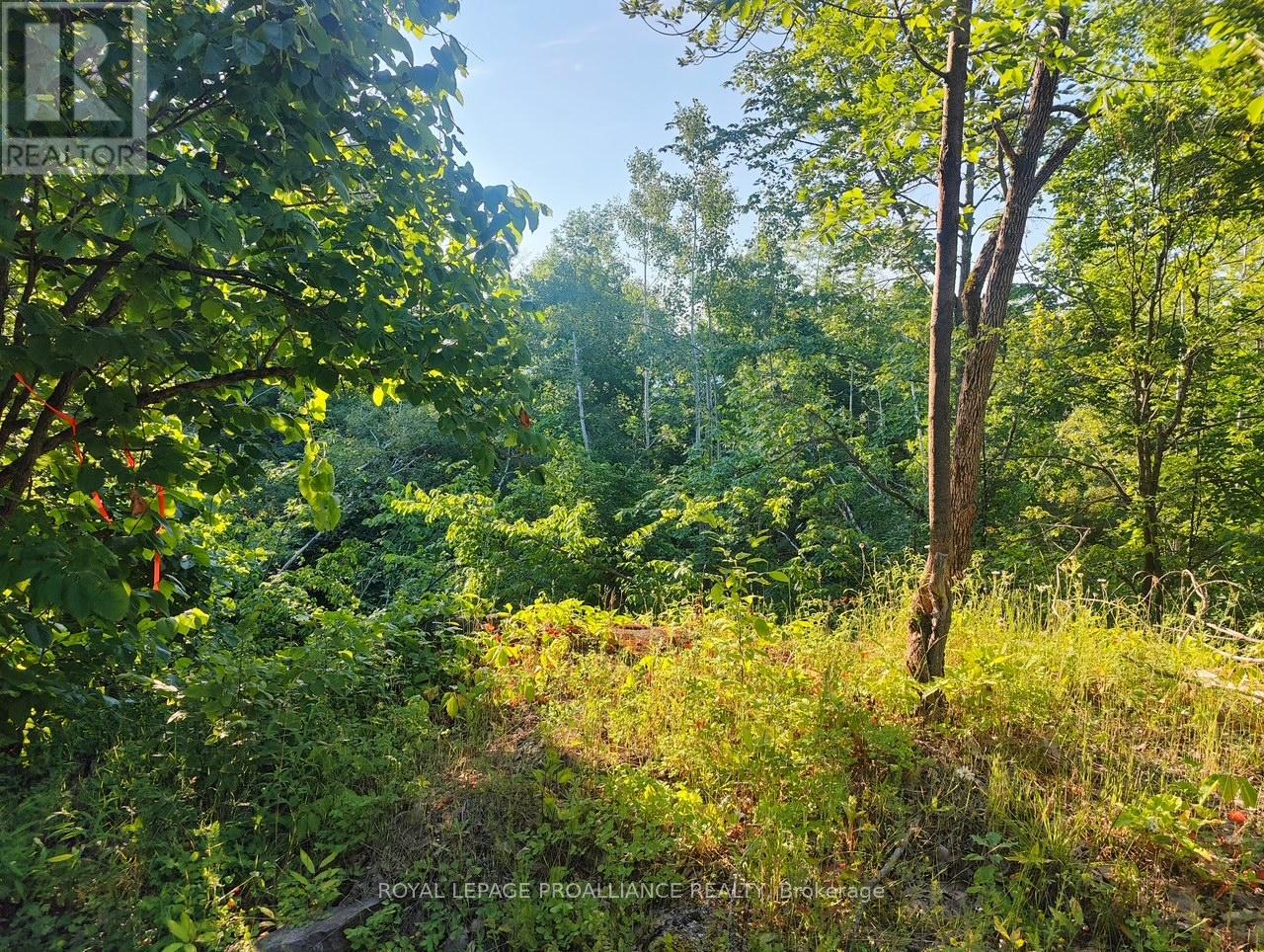 621a Cook Road Property Photo 8