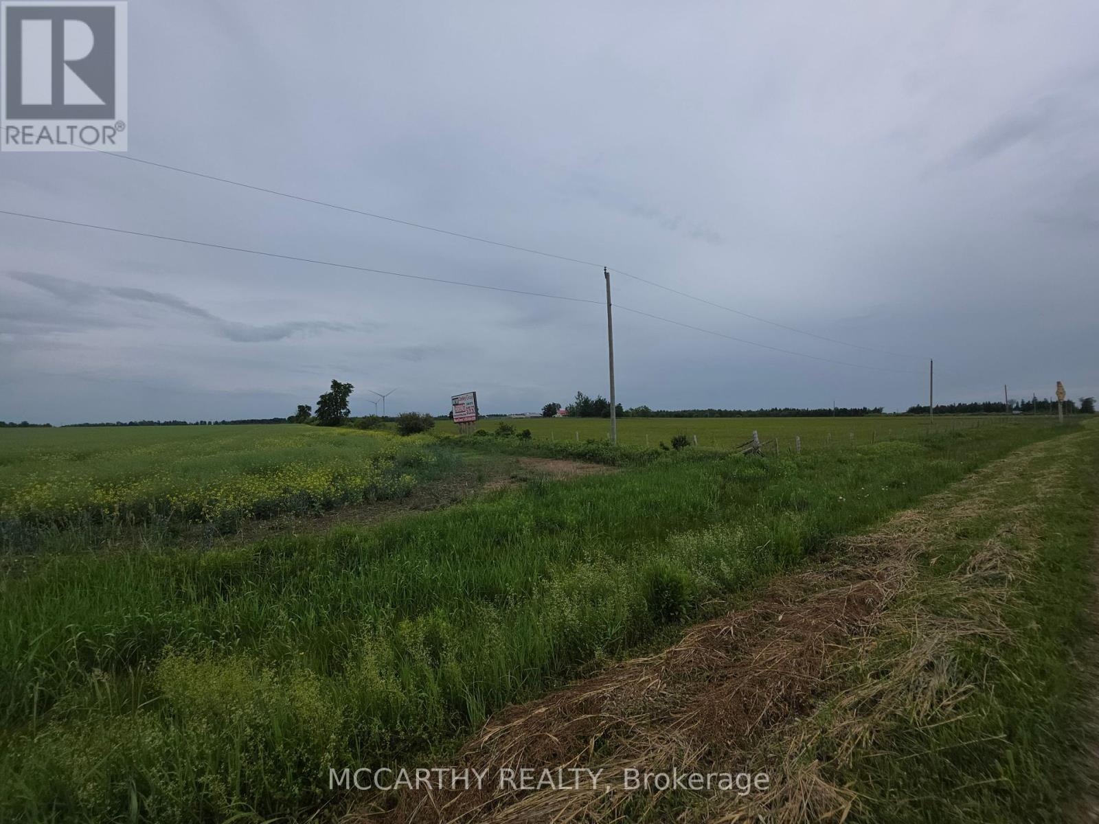 501098 Hwy # 89 Property Photo 16